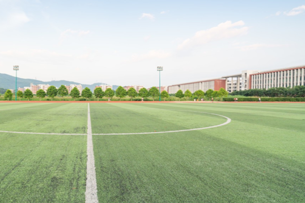 什麽是麻豆视频在线免费观看校園？麻豆视频在线免费观看校園發展內涵是？